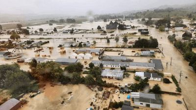 Books of the Week: Cyclone damage, and something bad in Fairlie
