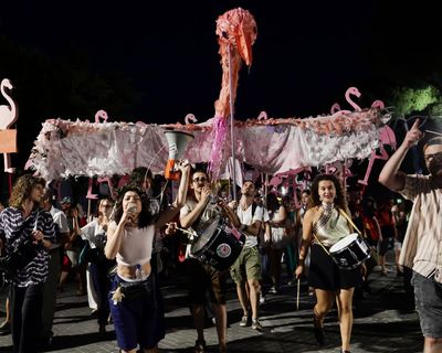 The Guardian view on the flamingo revolution: Albanians are standing up for their rights, as well as for nature