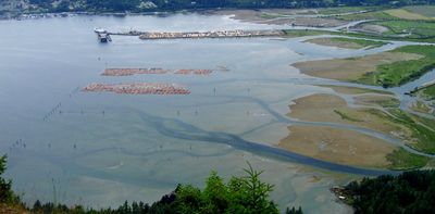 Fibreglass: How this emerging contaminant is polluting our coasts