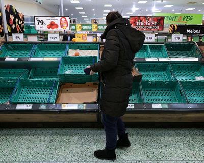UK has ‘no future’ if it fails to act on ecosystem collapse threatening national security