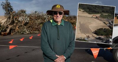 'Tree vandalism': Landcare volunteer outraged after council clears dune