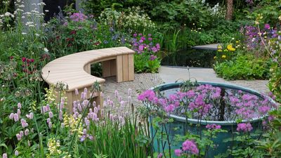 6 Unusual and Low Effort Fragrant Flowers That Will Make Your Patio Smell Incredible