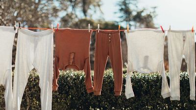 Laundry Experts Reveal 6 Reasons You Should Think Twice Before Drying Clothes Outside This Summer