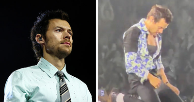 Harry Styles’ “Package” Accidentally Exposed On Stage Due To Wardrobe Malfunction