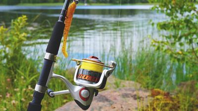 Florida man goes fishing behind his house. Then his fishing pole helped save his life: ‘Jabbed him and jabbed him’