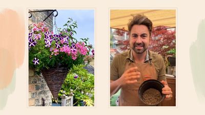 Wool is your garden's heatwave hero – here's how to use it for moisture retention and heat management