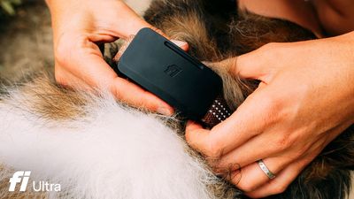 Fi Ultra becomes first dog tracker powered by Starlink satellites – the Fi Ultra Dog Tracker makes Fido trackable via satellite, onboard GPS, and LTE connectivity