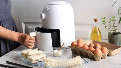 ALDI's $7 Silicone Air Fryer Liners Are Replacing Flimsy Parchment Paper – They Actually Contain Grease and Crumbs for Clean Up in Seconds