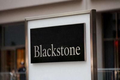 Blackstone, TPG seek over $4 billion for Hologic's surgical unit