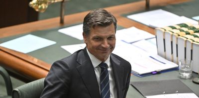 Angus Taylor warns a One Nation government would bring ‘an eternity of pain’
