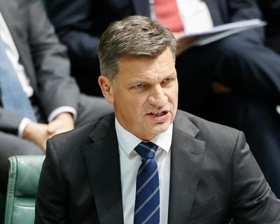 Angus Taylor warns of ‘eternity of pain’ if One Nation wins government in strongest attack yet on Pauline Hanson