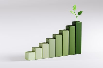 Chief sustainability officers' new pitch to CEOs: climate action isn't about morals—it's about money