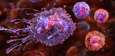 STING protein: our study found new ways for the body to activate – and possibly control – inflammation