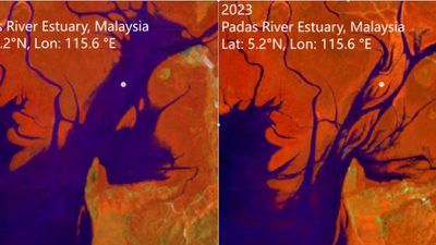 NASA satellite study finds Earth's mangrove forests are making an unexpected comeback after decades of decline. But scientists warn the good news may not last forever
