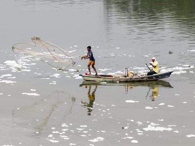 NMCG starts two pilot projects using nature-based solutions for Yamuna drains