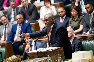 Green London councillor apologises for 'coconuts' comment as David Lammy calls out party's 'racist language'