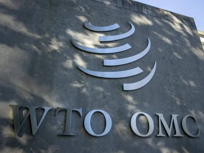 India raises questions at WTO over interim arrangement to implement e-commerce pact