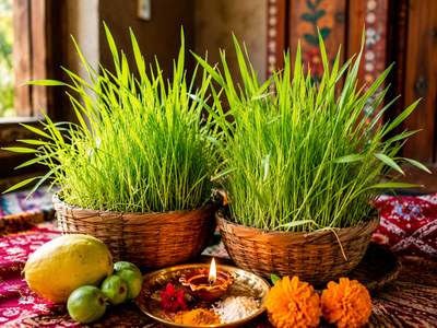 Why Do People in Uttarakhand Grow Harela Every Year?
