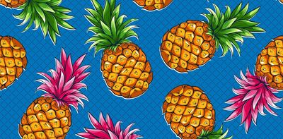 Hummingbirds and pineapples: why this ancient relationship hits the evolutionary sweetspot