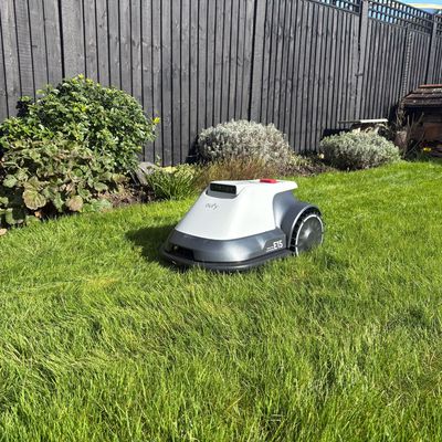How short should you cut your grass in a heatwave? Experts say this is the sweet spot for a greener, sun-protected lawn