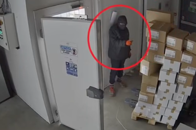 Watch as burglars caught stealing £1m of Mounjaro weight loss drug