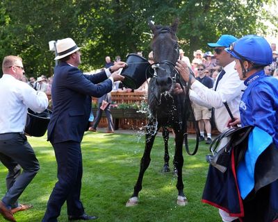 Racing warrior Rebel’s Romance continues world tour with Newmarket victory