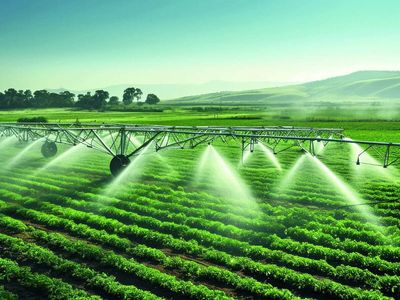 Why micro-irrigation needs more than subsidies