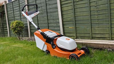 Stihl RMA 448 RV review: A capable mower for large spaces