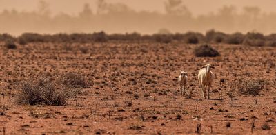 A big El Niño is likely. Australia needs to get ready now for drought, fire and the unknown