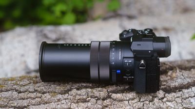 Sony has brought its every-genre camera back from the dead. The Sony RX10 V isn’t a compact camera, but its fixed lens covers everything from macro to telephoto