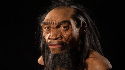 Meet the Denisovans: Scientists finally reveal the face of a 400,000-year-old human species