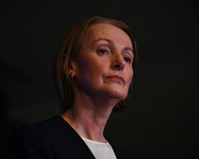 Telstra CEO ‘deeply sorry’ for outage and admits risk of time-keeping failure was known