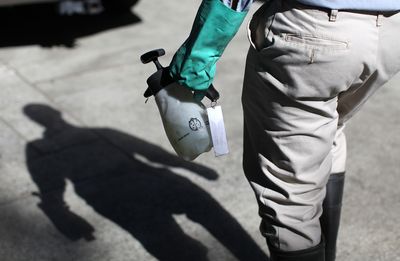 West Nile Virus Season Hits a 22-Year High as CDC Urges Mosquito Precautions in 23 States