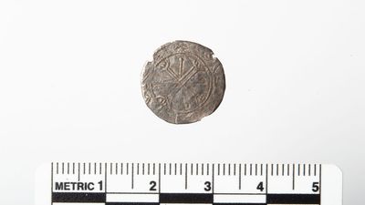 Dirty 'button' unearthed by metal detectorist turns out to be a rare 900-year-old coin from Norway's last Viking king, Magnus Barefoot