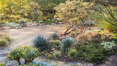 Why July is Actually the Perfect Time to Plant These 7 Unstoppable, Heat-Loving Perennials