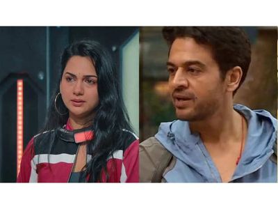 Gaurav Khanna's Lock Upp Appearance Raises Questions About Divorce