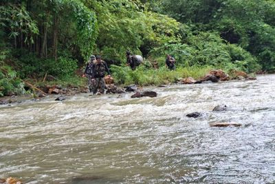Four monks missing after bamboo raft breaks up in Surat Thani