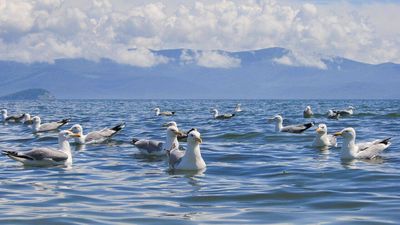 Lake Baikal in Siberia: The deepest lake on Earth holds 20% of the world's unfrozen freshwater and is 25 million years old