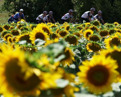 Tour de France 2026: Tim Merlier powers to stage seven victory after Bordeaux sprint – as it happened
