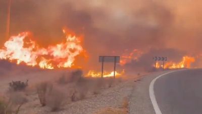 Spain wildfire horror: Four Britons thought to be among 11 dead in blaze in Andalusia