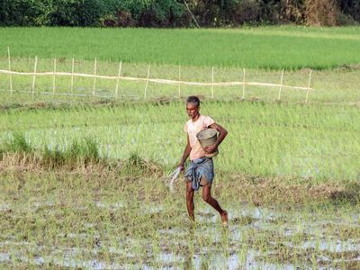 Monsoon revival lifts kharif hopes, but experts say El Niño threat is far from over