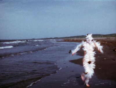 Feathered frolics, webcam landscapes and The Hay Wain – the week in art