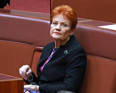 How Pauline Hanson courts UK’s far right – and builds a global brand – with ‘pseudo events’ and publicity stunts