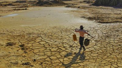 India among 4 countries with largest number of cities at-risk from extreme heat, analysis finds