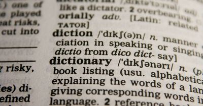 “How Foolproof Is Your Vocabulary?”: Find Out By Identifying These 20 Double-Meaning Words