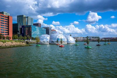 The Netherlands built a floating forest in Rotterdam because the crowded city lacked space for trees, so designers planted them on recycled sea buoys instead of land
