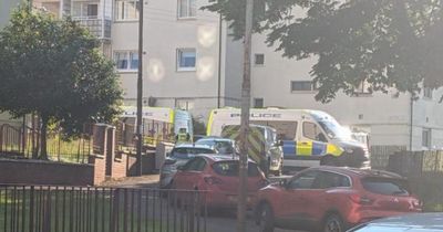 Innocent person 'forced from their home' in Glasgow disorder