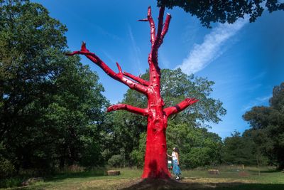 Britain's trees are now shedding giant branches to survive heatwaves, and scientists warn that up to half of Kew's trees could be vulnerable by 2090
