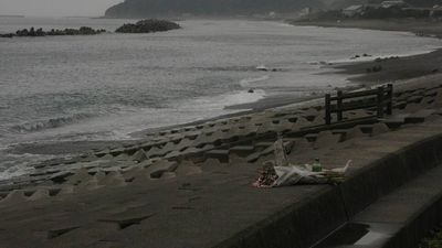 After the 2011 tsunami, Japan spent billions building towering concrete seawalls along its coast, but scientists now say many of the barriers disrupted coastal habitats, cut off beaches from the sea and hindered natural shoreline recovery