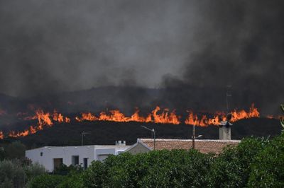 ‘I had an incredible escape’: British woman tells of close encounter with Spanish wildfire